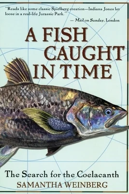 booksnthingswarehouse-11324240
