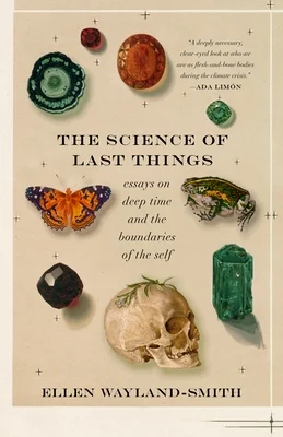 booksnthingswarehouse-11654874