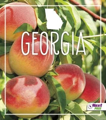 booksnthingswarehouse-11897749