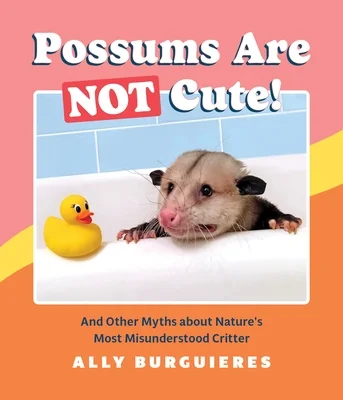 booksnthingswarehouse-11938153