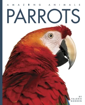 booksnthingswarehouse-11953931