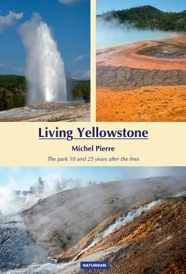 booksnthingswarehouse-11978805