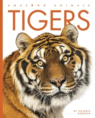 booksnthingswarehouse-11998324