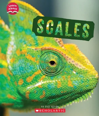 booksnthingswarehouse-12008035