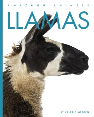 booksnthingswarehouse-12133374