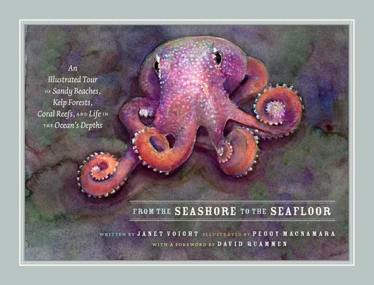 booksnthingswarehouse-12148350