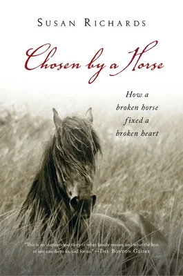 booksnthingswarehouse-12246147