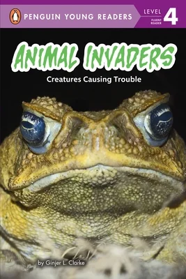 booksnthingswarehouse-21336287