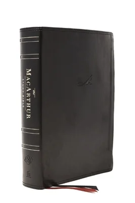booksnthingswarehouse-21468968