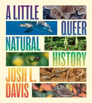 booksnthingswarehouse-21532732