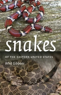 booksnthingswarehouse-21572290