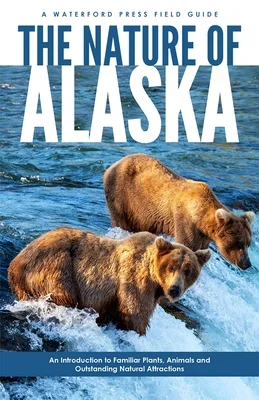 booksnthingswarehouse-21653438