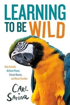 booksnthingswarehouse-21778220