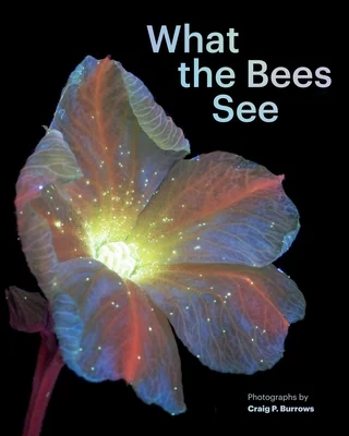 booksnthingswarehouse-22118297