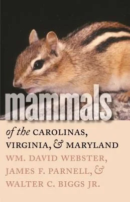 booksnthingswarehouse-22241591