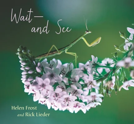 booksnthingswarehouse-31390469