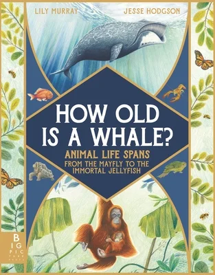 booksnthingswarehouse-31589364