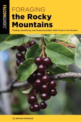 booksnthingswarehouse-31596821