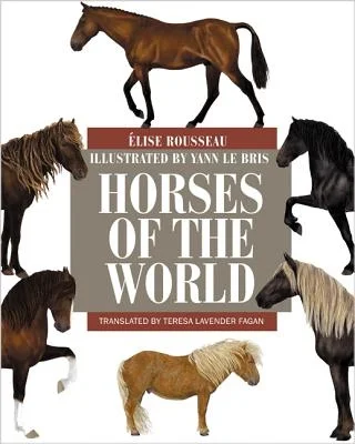 booksnthingswarehouse-31651512