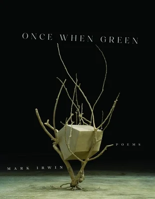 booksnthingswarehouse-31819501