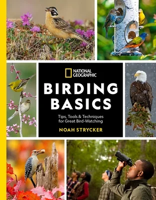 booksnthingswarehouse-31952393