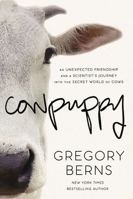booksnthingswarehouse-41338396