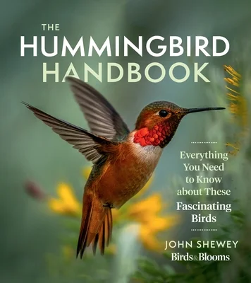 booksnthingswarehouse-41411481