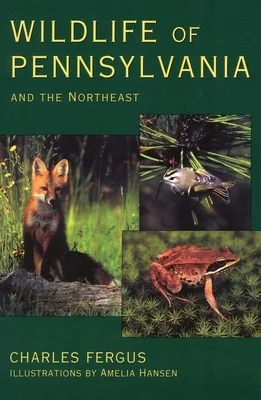 booksnthingswarehouse-41737729