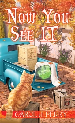 booksnthingswarehouse-41776295