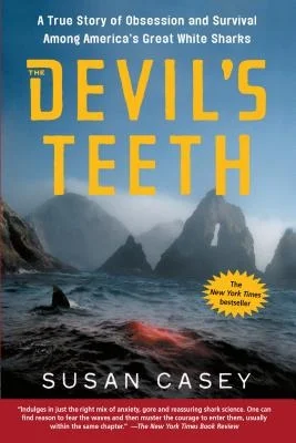 booksnthingswarehouse-41916164