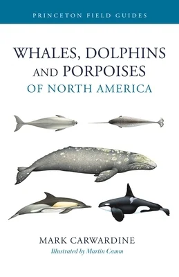 booksnthingswarehouse-42255491