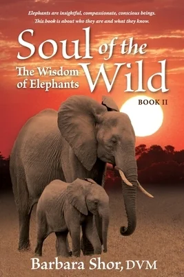booksnthingswarehouse1557254