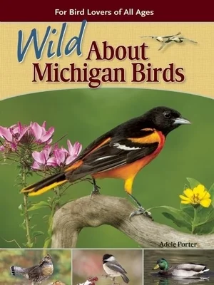 booksnthingswarehouse1692304