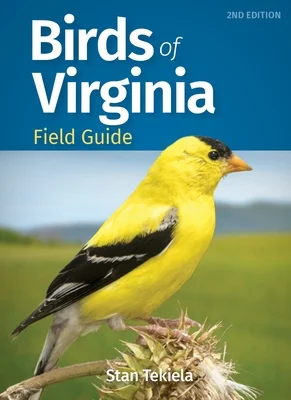 booksnthingswarehouse910561