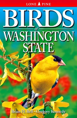 booksnthingswarehouse939917