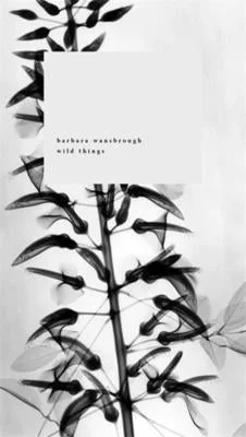 flowerburst-31286108