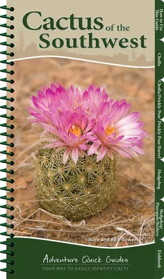 flowerburst-41061663
