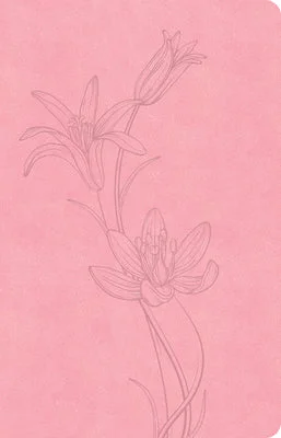 flowerburst-4928231