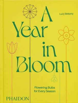 flowerburst1216425