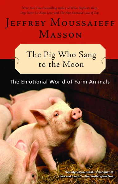 massivebookshop-21622643