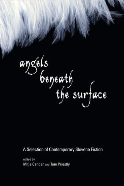 massivebookshop-31607335