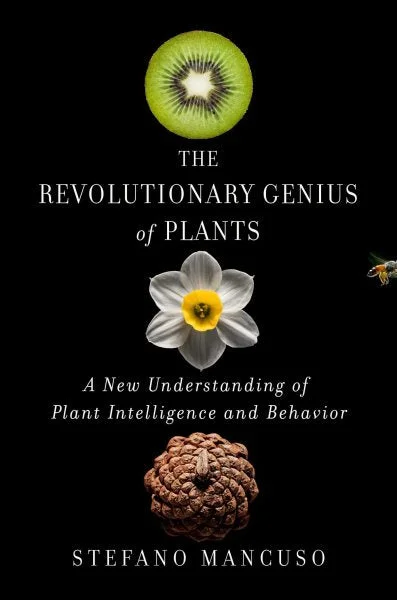 massivebookshop1589778