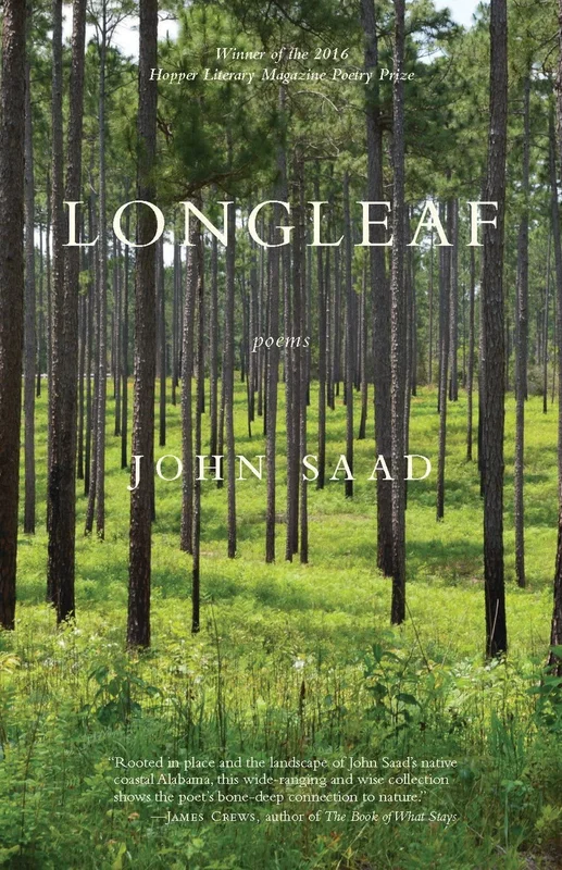 roundaboutbookstore-11445307