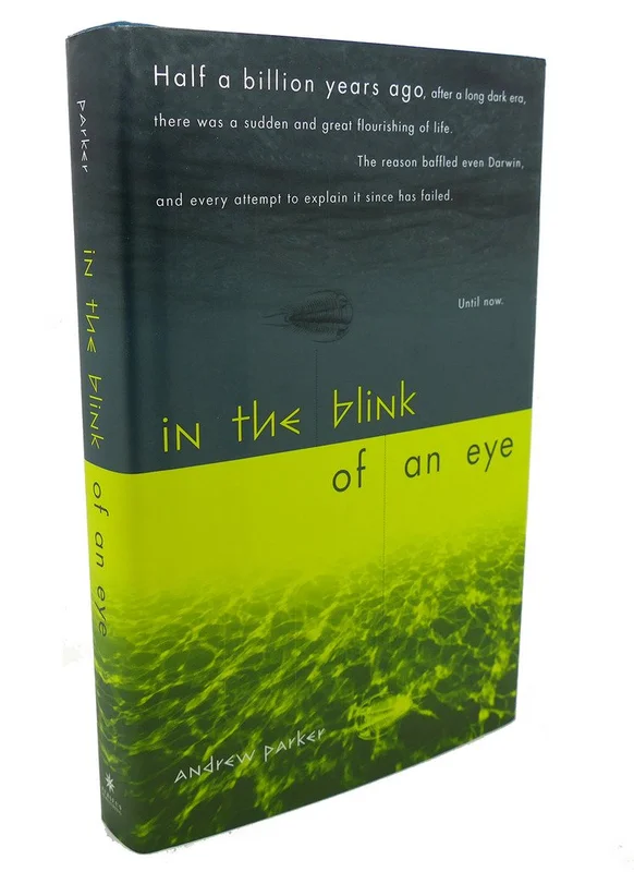 roundaboutbookstore-11553122