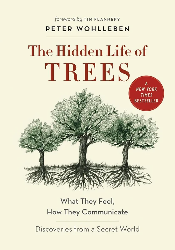 roundaboutbookstore-11584577