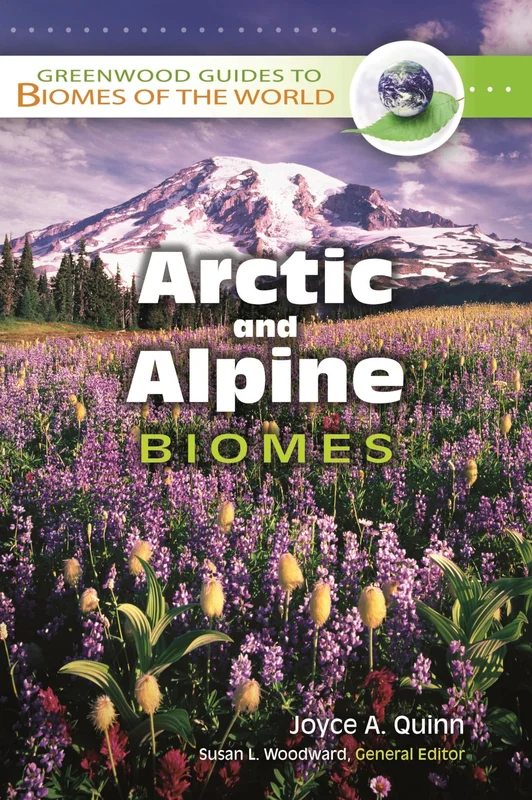 roundaboutbookstore-11615443