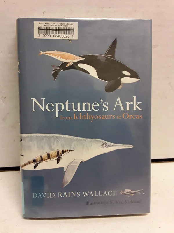 roundaboutbookstore-11619105
