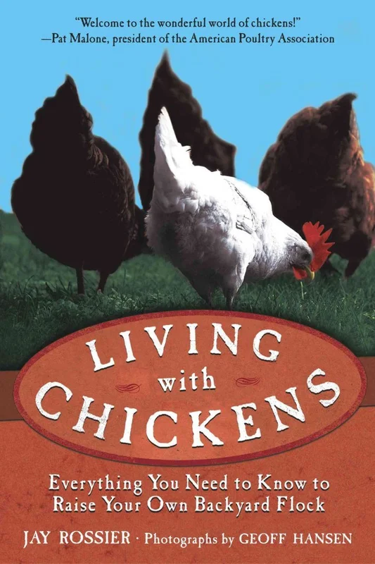 roundaboutbookstore-11635214