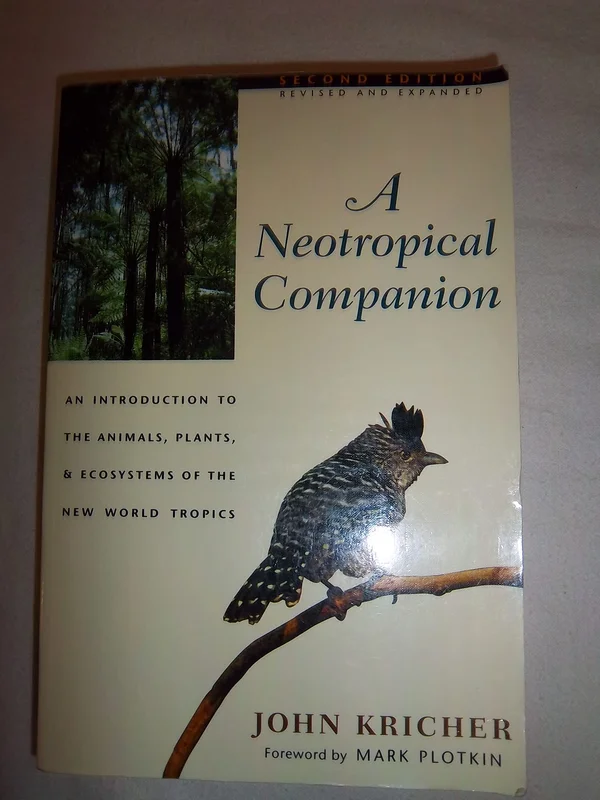 roundaboutbookstore-11642602