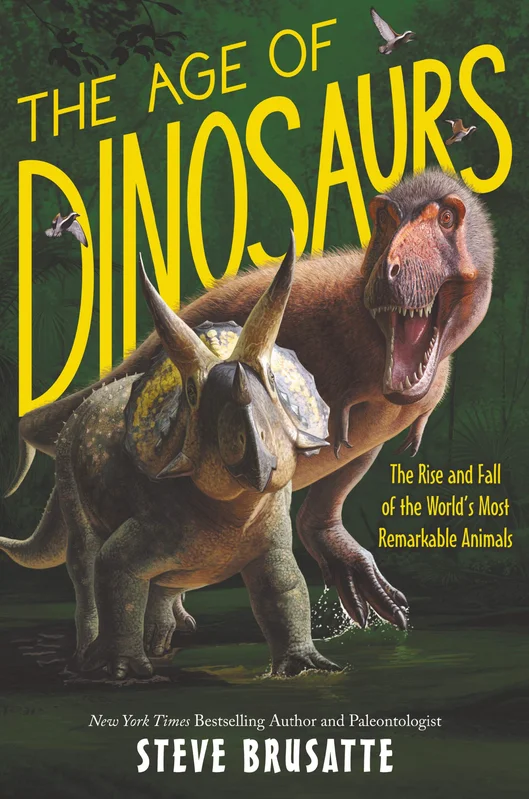roundaboutbookstore-11648909
